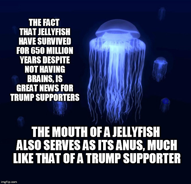 Trump Supporters | THE MOUTH OF A JELLYFISH ALSO SERVES AS ITS ANUS, MUCH LIKE THAT OF A TRUMP SUPPORTER | image tagged in trump supporters,trump | made w/ Imgflip meme maker