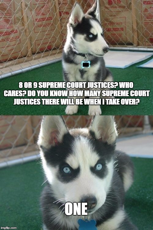 Insanity Puppy on Judicial Policy | 8 OR 9 SUPREME COURT JUSTICES? WHO CARES? DO YOU KNOW HOW MANY SUPREME COURT JUSTICES THERE WILL BE WHEN I TAKE OVER? ONE | image tagged in memes,insanity puppy | made w/ Imgflip meme maker