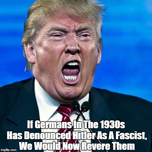 If Germans In The 1930s Has Denounced Hitler As A Fascist, We Would Now Revere Them | made w/ Imgflip meme maker