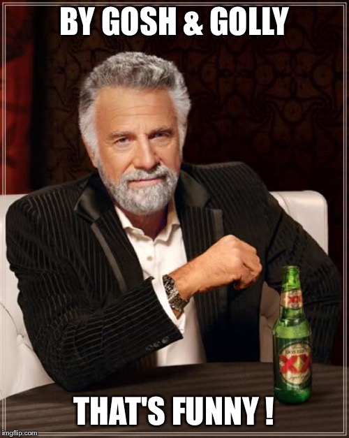 The Most Interesting Man In The World Meme | BY GOSH & GOLLY THAT'S FUNNY ! | image tagged in memes,the most interesting man in the world | made w/ Imgflip meme maker