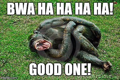BWA HA HA HA HA! GOOD ONE! | made w/ Imgflip meme maker