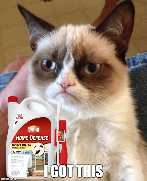 Grumpy Cat Meme | I GOT THIS | image tagged in memes,grumpy cat | made w/ Imgflip meme maker
