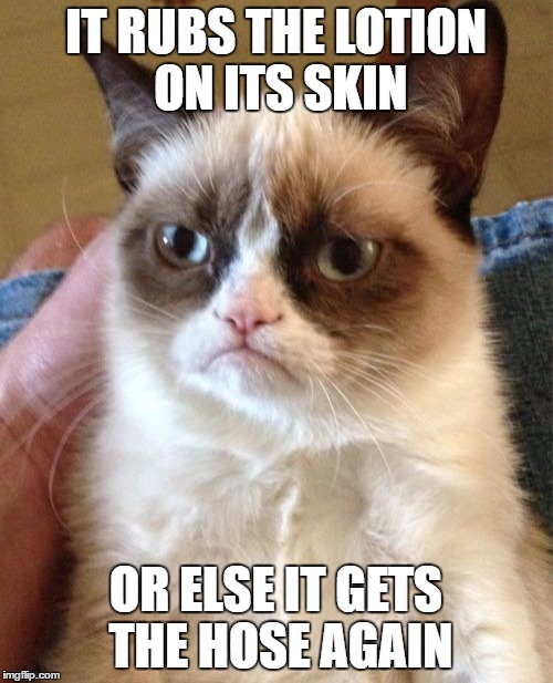 Grumpy Cat Meme | IT RUBS THE LOTION ON ITS SKIN OR ELSE IT GETS THE HOSE AGAIN | image tagged in memes,grumpy cat | made w/ Imgflip meme maker