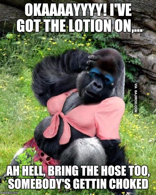 OKAAAAYYYY! I'VE GOT THE LOTION ON,... AH HELL, BRING THE HOSE TOO, SOMEBODY'S GETTIN CHOKED | made w/ Imgflip meme maker