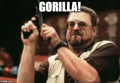 Am I The Only One Around Here Meme | GORILLA! | image tagged in memes,am i the only one around here | made w/ Imgflip meme maker