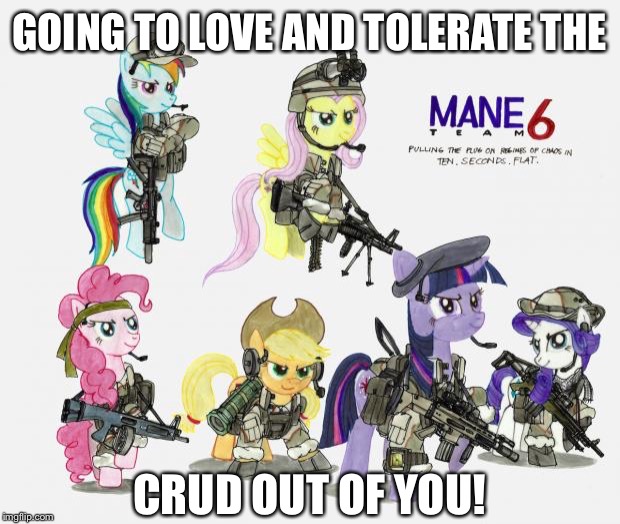I Take No Credit To The Meme Template Someone Posted It Here On Imgflip, Please Read The Comments For More Information | GOING TO LOVE AND TOLERATE THE; CRUD OUT OF YOU! | image tagged in military ponies,usa,mlp,my little pony,fort macarthur,postmates | made w/ Imgflip meme maker