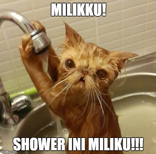 MILIKKU! SHOWER INI MILIKU!!! | made w/ Imgflip meme maker