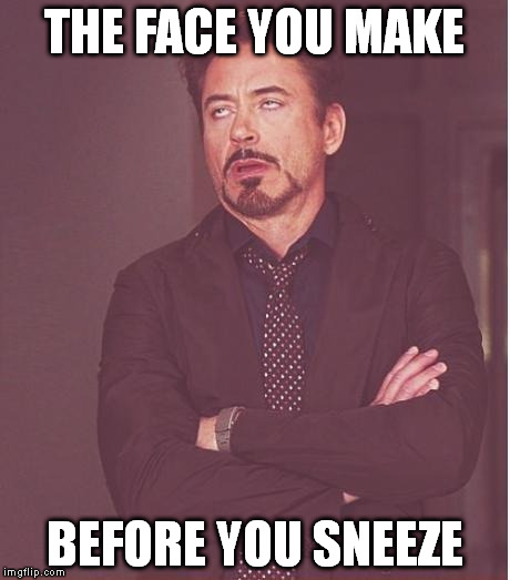 Face You Make Robert Downey Jr | THE FACE YOU MAKE; BEFORE YOU SNEEZE | image tagged in memes,face you make robert downey jr | made w/ Imgflip meme maker