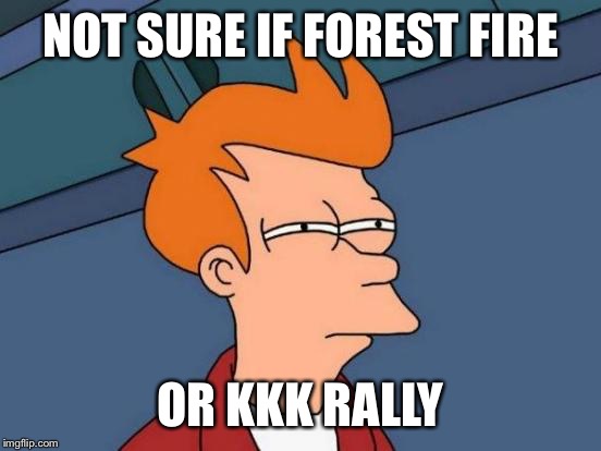 Futurama Fry | NOT SURE IF FOREST FIRE; OR KKK RALLY | image tagged in memes,futurama fry | made w/ Imgflip meme maker