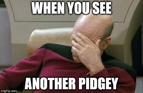 Captain Picard Facepalm Meme | WHEN YOU SEE; ANOTHER PIDGEY | image tagged in memes,captain picard facepalm | made w/ Imgflip meme maker