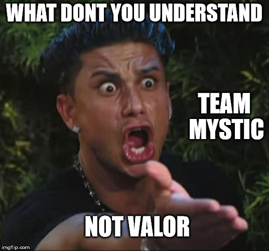 DJ Pauly D | WHAT DONT YOU UNDERSTAND; TEAM MYSTIC; NOT VALOR | image tagged in memes,dj pauly d | made w/ Imgflip meme maker