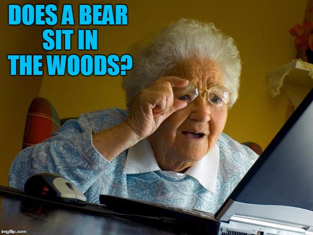 Grandma Finds The Internet Meme | DOES A BEAR SIT IN THE WOODS? | image tagged in memes,grandma finds the internet | made w/ Imgflip meme maker