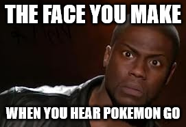 Kevin Hart | THE FACE YOU MAKE; WHEN YOU HEAR POKEMON GO | image tagged in memes,kevin hart the hell | made w/ Imgflip meme maker
