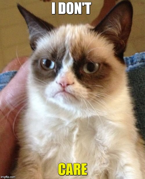 Grumpy Cat | I DON'T; CARE | image tagged in memes,grumpy cat | made w/ Imgflip meme maker