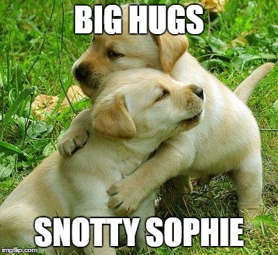 Puppy I love bro | BIG HUGS; SNOTTY SOPHIE | image tagged in puppy i love bro | made w/ Imgflip meme maker