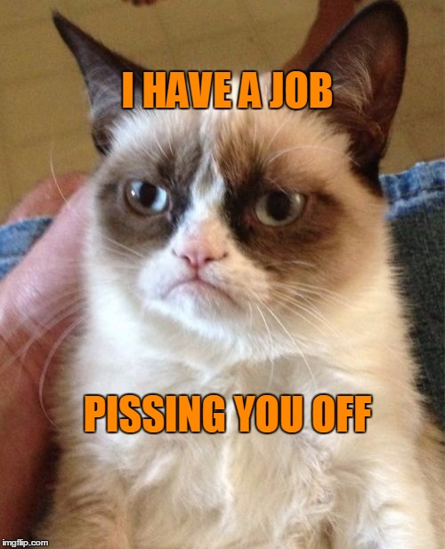 Grumpy Cat Meme | I HAVE A JOB PISSING YOU OFF | image tagged in memes,grumpy cat | made w/ Imgflip meme maker