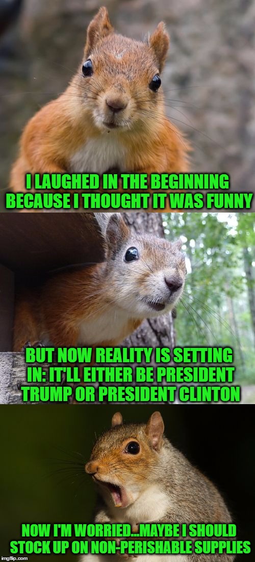  bad pun squirrel | I LAUGHED IN THE BEGINNING BECAUSE I THOUGHT IT WAS FUNNY; BUT NOW REALITY IS SETTING IN: IT'LL EITHER BE PRESIDENT TRUMP OR PRESIDENT CLINTON; NOW I'M WORRIED...MAYBE I SHOULD STOCK UP ON NON-PERISHABLE SUPPLIES | image tagged in bad pun squirrel | made w/ Imgflip meme maker