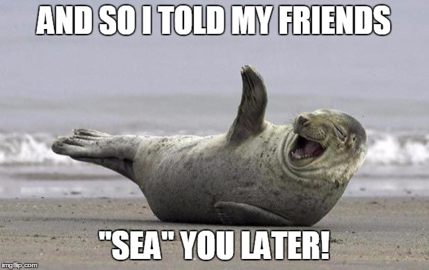 laughing seal | AND SO I TOLD MY FRIENDS; "SEA" YOU LATER! | image tagged in laughing seal | made w/ Imgflip meme maker