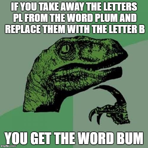 Stick a plum up your bum |  IF YOU TAKE AWAY THE LETTERS PL FROM THE WORD PLUM AND REPLACE THEM WITH THE LETTER B; YOU GET THE WORD BUM | image tagged in memes,philosoraptor | made w/ Imgflip meme maker
