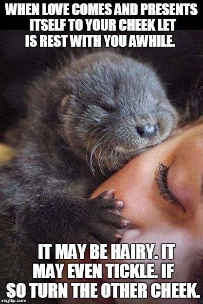 WHEN LOVE COMES
AND PRESENTS ITSELF
TO YOUR CHEEK
LET IS REST WITH YOU AWHILE. IT MAY BE HAIRY.
IT MAY EVEN TICKLE.
IF SO
TURN THE OTHER CHEEK. | image tagged in when love comes | made w/ Imgflip meme maker