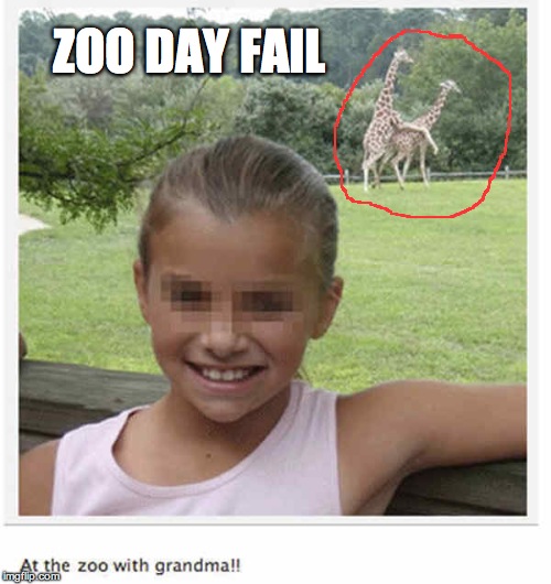 ZOO DAY FAIL | image tagged in zoo,animals,fail,animal fail,kids,kids fail | made w/ Imgflip meme maker