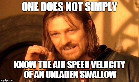 One Does Not Simply | ONE DOES NOT SIMPLY; KNOW THE AIR SPEED VELOCITY OF AN UNLADEN SWALLOW | image tagged in memes,one does not simply | made w/ Imgflip meme maker