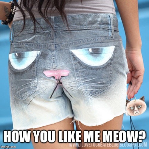Borrowed this saying from Socrates.  | HOW YOU LIKE ME MEOW? | image tagged in grumpy cat | made w/ Imgflip meme maker