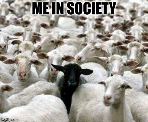 Me in society | ME IN SOCIETY | image tagged in funny,funny memes,black sheep | made w/ Imgflip meme maker