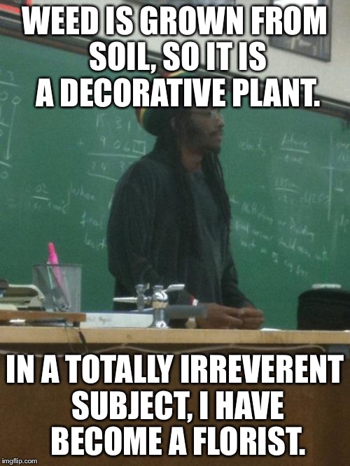 Rasta Science Teacher | WEED IS GROWN FROM SOIL, SO IT IS A DECORATIVE PLANT. IN A TOTALLY IRREVERENT SUBJECT, I HAVE BECOME A FLORIST. | image tagged in memes,rasta science teacher | made w/ Imgflip meme maker