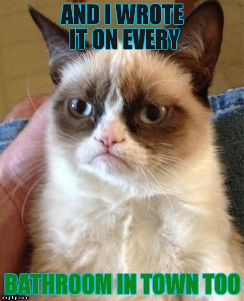 Grumpy Cat Meme | AND I WROTE IT ON EVERY BATHROOM IN TOWN TOO | image tagged in memes,grumpy cat | made w/ Imgflip meme maker