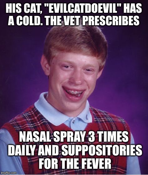 I laughed and laughed and started looking at kitten ads on Craig's list | HIS CAT, "EVILCATDOEVIL" HAS A COLD. THE VET PRESCRIBES; NASAL SPRAY 3 TIMES DAILY AND SUPPOSITORIES FOR THE FEVER | image tagged in memes,bad luck brian,angry cat,sick humor,vet | made w/ Imgflip meme maker