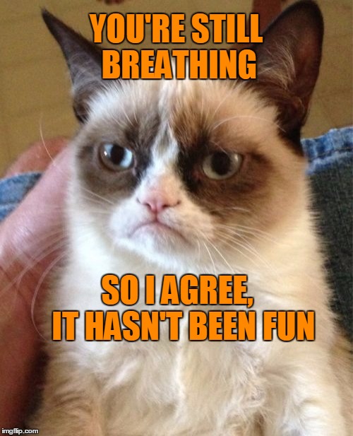 Grumpy Cat Meme | YOU'RE STILL BREATHING SO I AGREE,  IT HASN'T BEEN FUN | image tagged in memes,grumpy cat | made w/ Imgflip meme maker