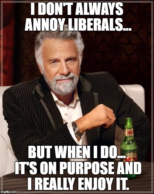 The Most Interesting Man In The World Meme | I DON'T ALWAYS ANNOY LIBERALS... BUT WHEN I DO... IT'S ON PURPOSE AND I REALLY ENJOY IT. | image tagged in memes,the most interesting man in the world | made w/ Imgflip meme maker