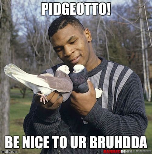 PIDGEOTTO! BE NICE TO UR BRUHDDA | image tagged in pokemon go | made w/ Imgflip meme maker