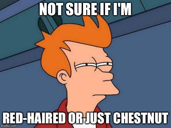 Futurama Fry | NOT SURE IF I'M; RED-HAIRED OR JUST CHESTNUT | image tagged in memes,futurama fry | made w/ Imgflip meme maker