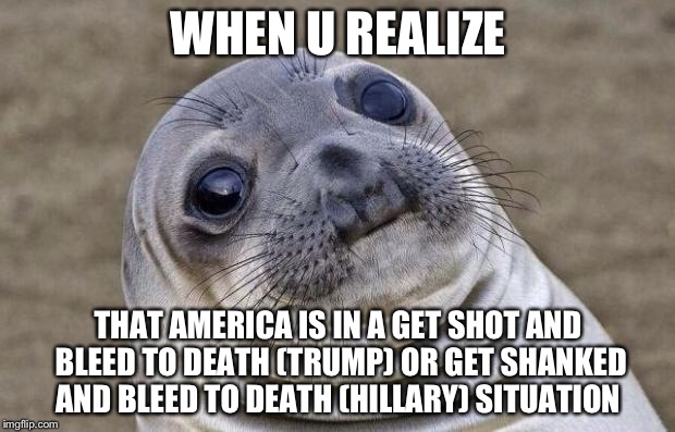 Awkward Moment Sealion Meme | WHEN U REALIZE; THAT AMERICA IS IN A GET SHOT AND BLEED TO DEATH (TRUMP) OR GET SHANKED AND BLEED TO DEATH (HILLARY) SITUATION | image tagged in memes,awkward moment sealion | made w/ Imgflip meme maker