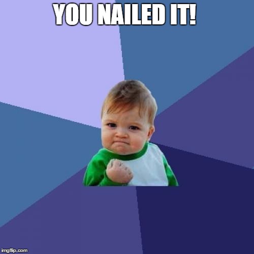 Success Kid Meme | YOU NAILED IT! | image tagged in memes,success kid | made w/ Imgflip meme maker