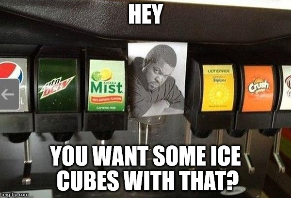 Want some ice? | HEY; YOU WANT SOME ICE CUBES WITH THAT? | image tagged in memes,funny,ice,ice cube,drink,cold | made w/ Imgflip meme maker