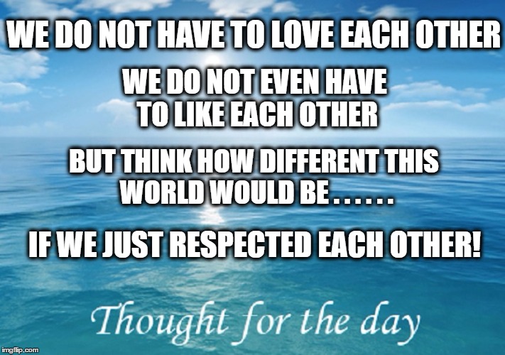 We Don't Have to Like Each Other | WE DO NOT HAVE TO LOVE EACH OTHER; WE DO NOT EVEN HAVE TO LIKE EACH OTHER; BUT THINK HOW DIFFERENT THIS WORLD WOULD BE . . . . . . IF WE JUST RESPECTED EACH OTHER! | image tagged in meme,respect,humans,world peace,world problems | made w/ Imgflip meme maker