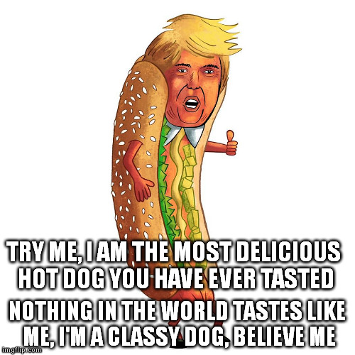 Donald Trump Hot Dog | TRY ME, I AM THE MOST DELICIOUS HOT DOG YOU HAVE EVER TASTED; NOTHING IN THE WORLD TASTES LIKE ME, I'M A CLASSY DOG, BELIEVE ME | image tagged in donald trump hot dog,hotdog,food,national hotdog day | made w/ Imgflip meme maker