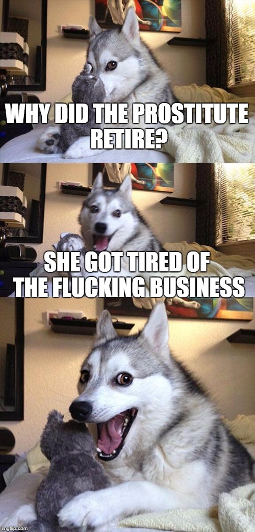 Bad Pun Dog | WHY DID THE PROSTITUTE RETIRE? SHE GOT TIRED OF THE FLUCKING BUSINESS | image tagged in memes,bad pun dog | made w/ Imgflip meme maker