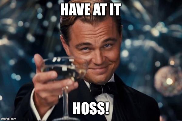Leonardo Dicaprio Cheers | HAVE AT IT; HOSS! | image tagged in memes,leonardo dicaprio cheers | made w/ Imgflip meme maker