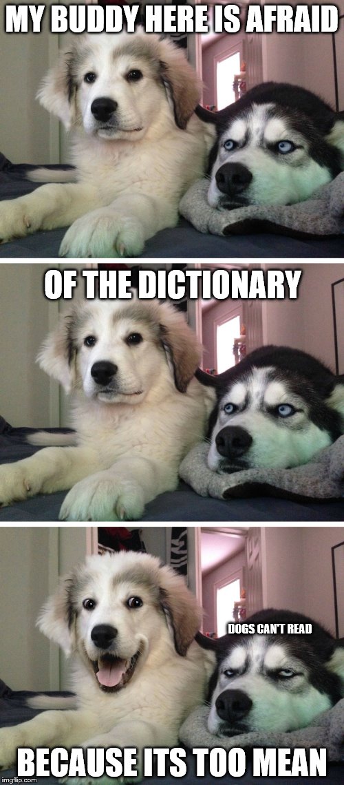 Bad pun dogs | MY BUDDY HERE IS AFRAID; OF THE DICTIONARY; DOGS CAN'T READ; BECAUSE ITS TOO MEAN | image tagged in bad pun dogs | made w/ Imgflip meme maker