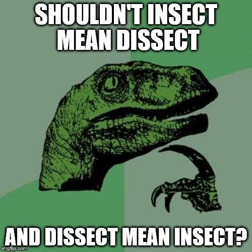 Philosoraptor | SHOULDN'T INSECT MEAN DISSECT; AND DISSECT MEAN INSECT? | image tagged in memes,philosoraptor | made w/ Imgflip meme maker