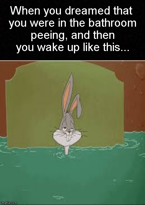 It seemed so real.... | When you dreamed that you were in the bathroom peeing, and then you wake up like this... | image tagged in funny memes,peeing,dream,sleeping,meme | made w/ Imgflip meme maker