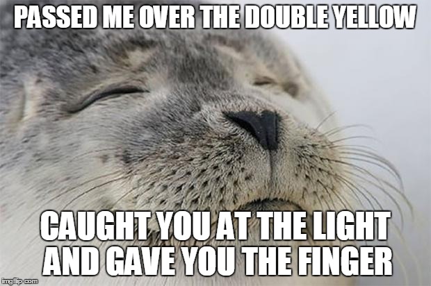 Satisfied Seal Meme | PASSED ME OVER THE DOUBLE YELLOW; CAUGHT YOU AT THE LIGHT AND GAVE YOU THE FINGER | image tagged in memes,satisfied seal,AdviceAnimals | made w/ Imgflip meme maker