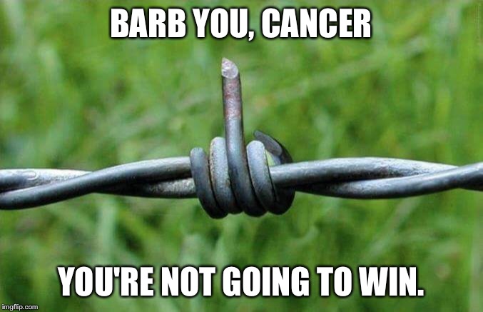 Cancer | BARB YOU, CANCER; YOU'RE NOT GOING TO WIN. | image tagged in cancer | made w/ Imgflip meme maker