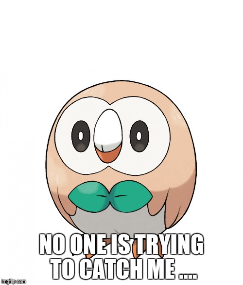 rowlet | NO ONE IS TRYING TO CATCH ME .... | image tagged in pokemon | made w/ Imgflip meme maker