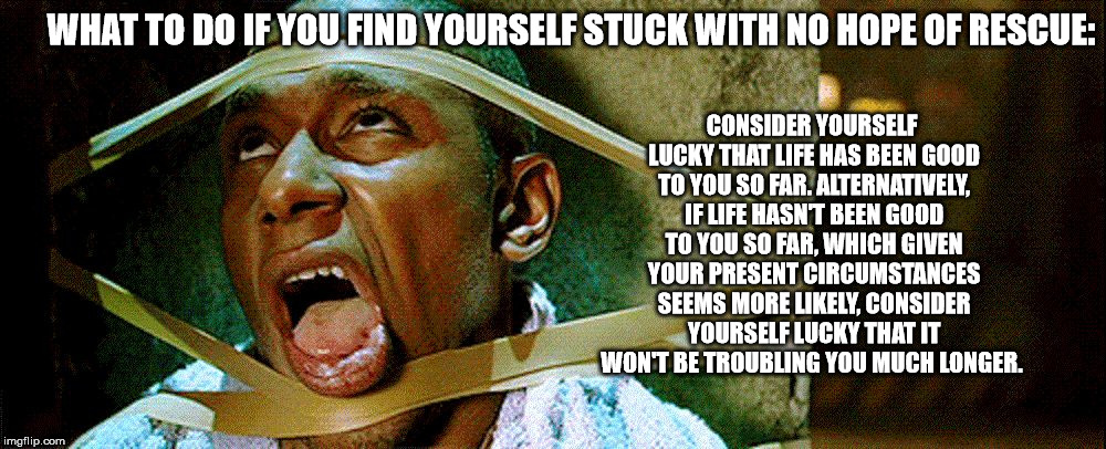 CONSIDER YOURSELF LUCKY THAT LIFE HAS BEEN GOOD TO YOU SO FAR. ALTERNATIVELY, IF LIFE HASN'T BEEN GOOD TO YOU SO FAR, WHICH GIVEN YOUR PRESENT CIRCUMSTANCES SEEMS MORE LIKELY, CONSIDER YOURSELF LUCKY THAT IT WON'T BE TROUBLING YOU MUCH LONGER. WHAT TO DO IF YOU FIND YOURSELF STUCK WITH NO HOPE OF RESCUE: | image tagged in hitchhicker's guide to the galaxy | made w/ Imgflip meme maker