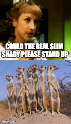 whenever someone says this in public | COULD THE REAL SLIM SHADY PLEASE STAND UP | image tagged in slim shady,meerkats | made w/ Imgflip meme maker